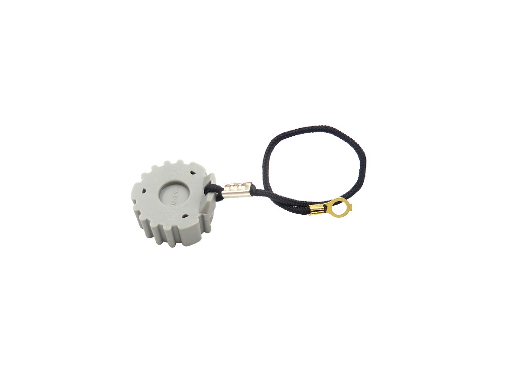 CAP ASSY