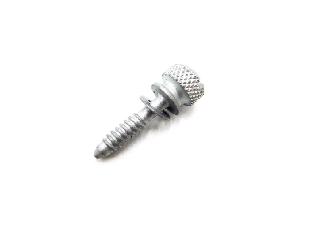 SCREW,RETAINING